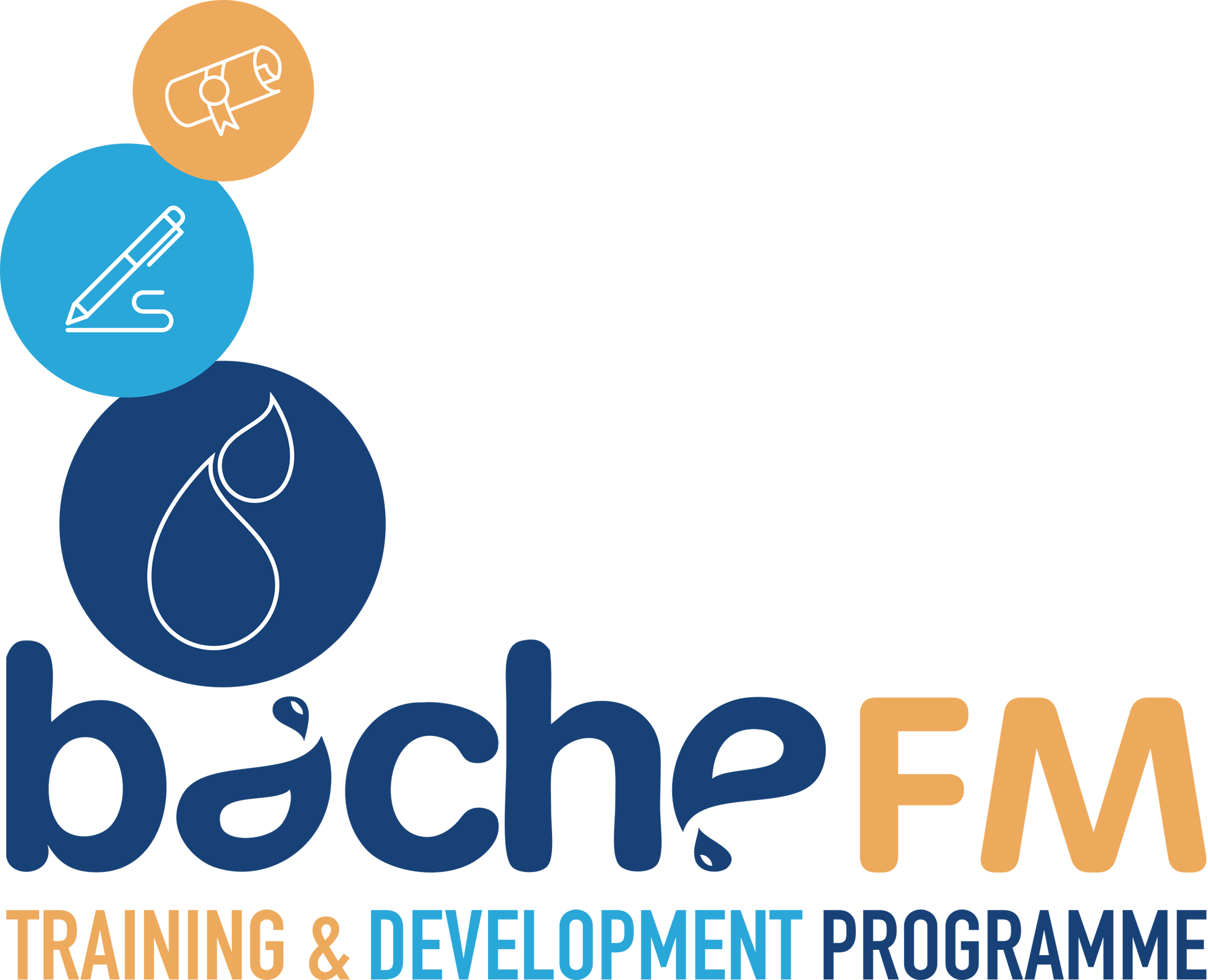 Bache-training-logo